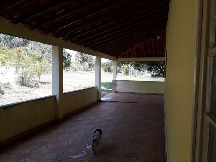 Foto REO1113045