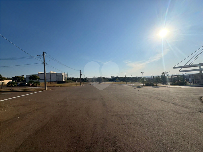 Foto REO1113048