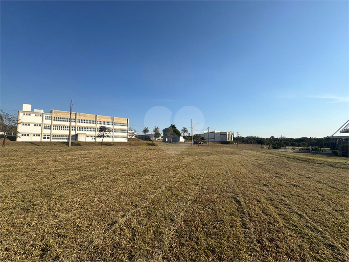 Foto REO1113048