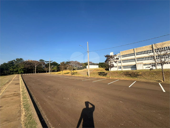 Foto REO1113048