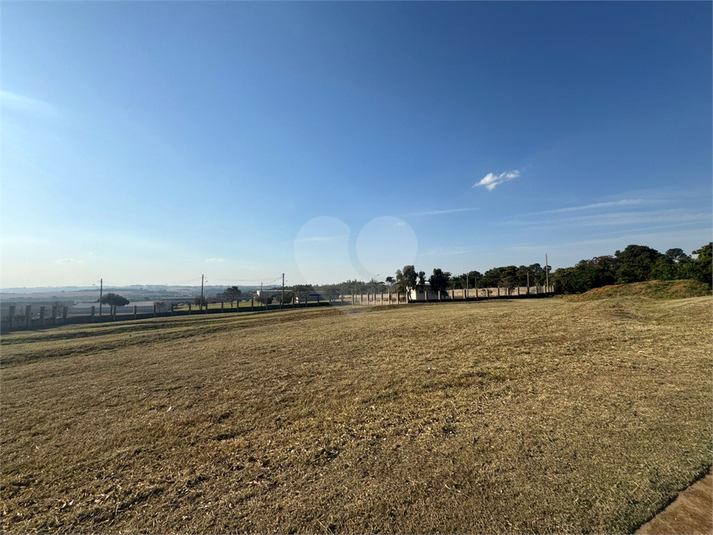Foto REO1113048