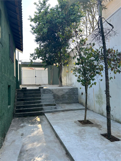 Foto REO1113051