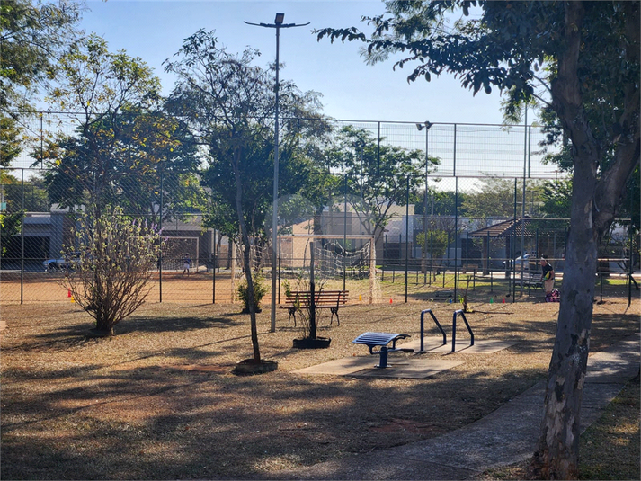 Foto REO1113059