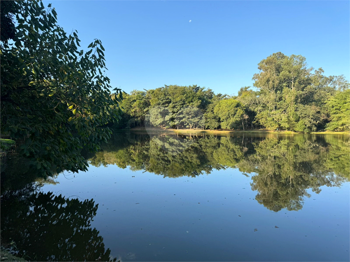 Foto REO1113065