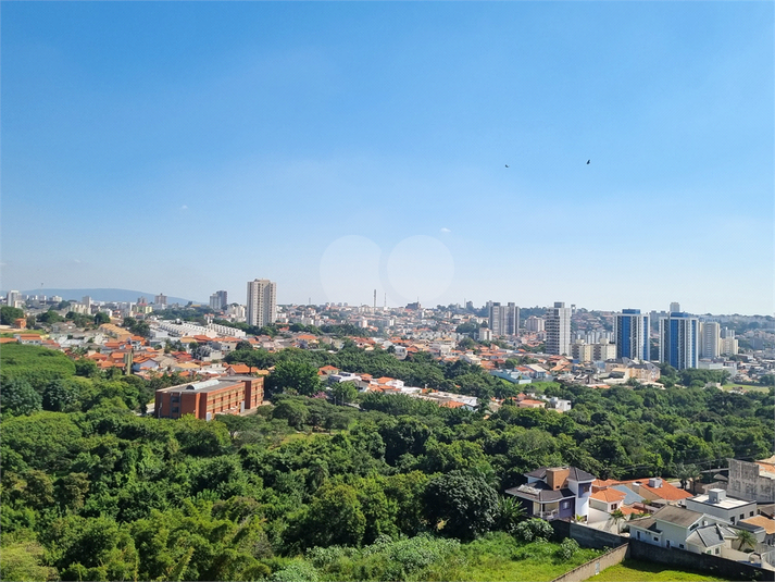 Foto REO1113068