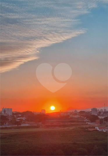 Foto REO1113068