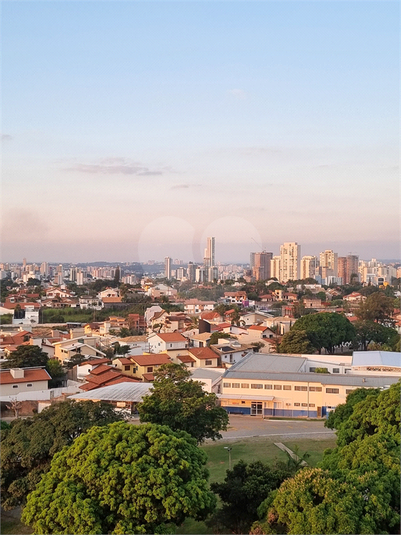 Foto REO1113068