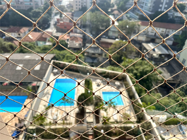 Foto REO1113074