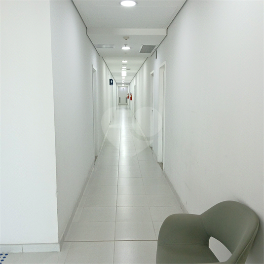 Foto REO1113076
