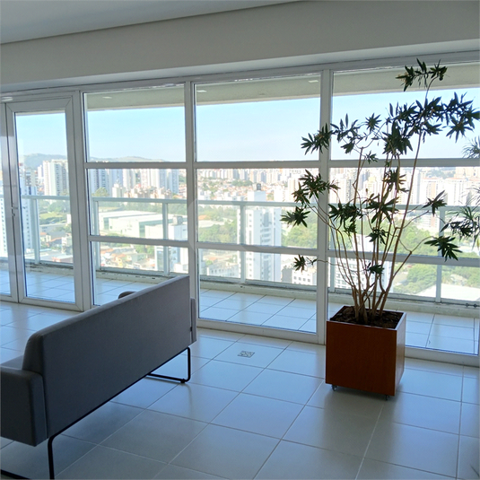 Foto REO1113076