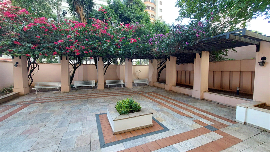 Foto REO1113079