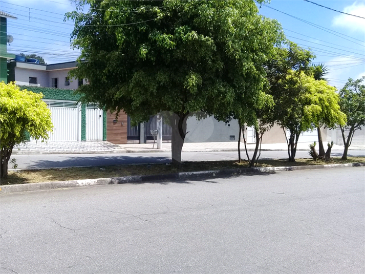 Foto REO1113082