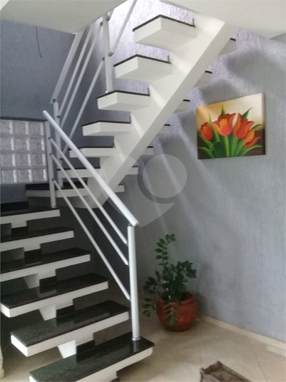 Foto REO1113082