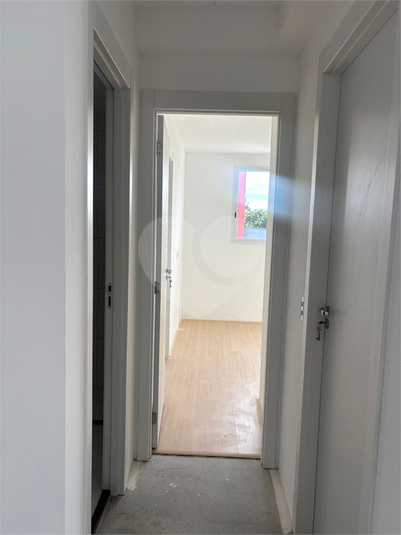 Foto REO1113084