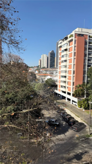 Foto REO1113110