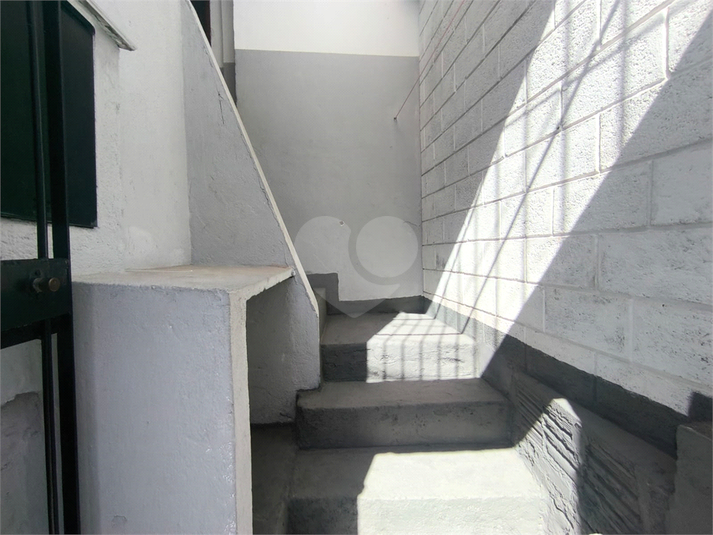 Foto REO1113128