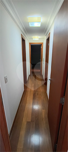 Foto REO1113144