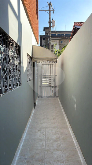Foto REO1113169