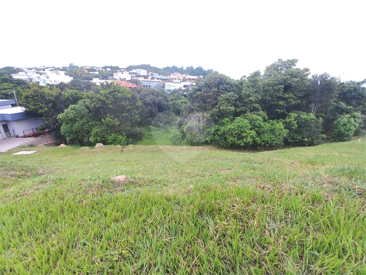 Foto REO1113177