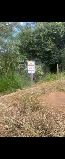 Foto REO1113189