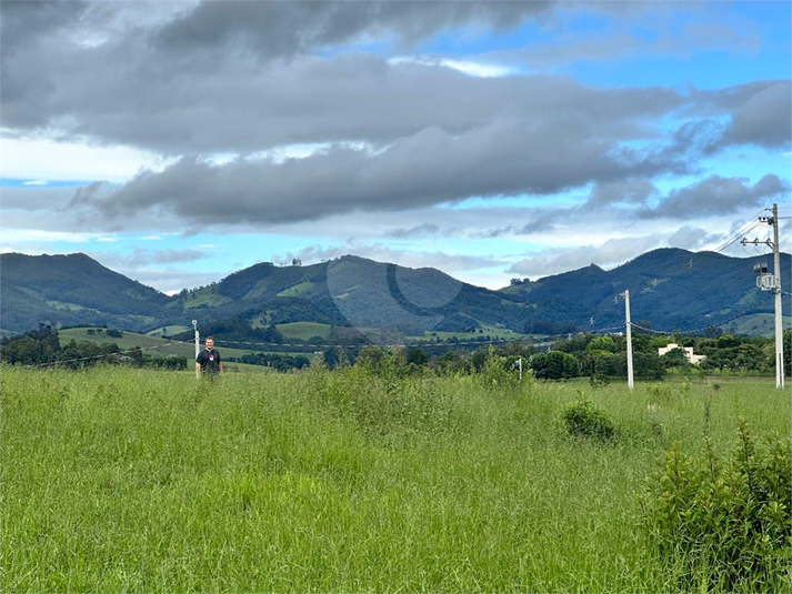 Foto REO1113189