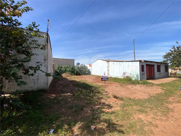 Foto REO1113193