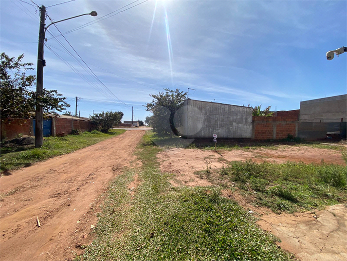 Foto REO1113193
