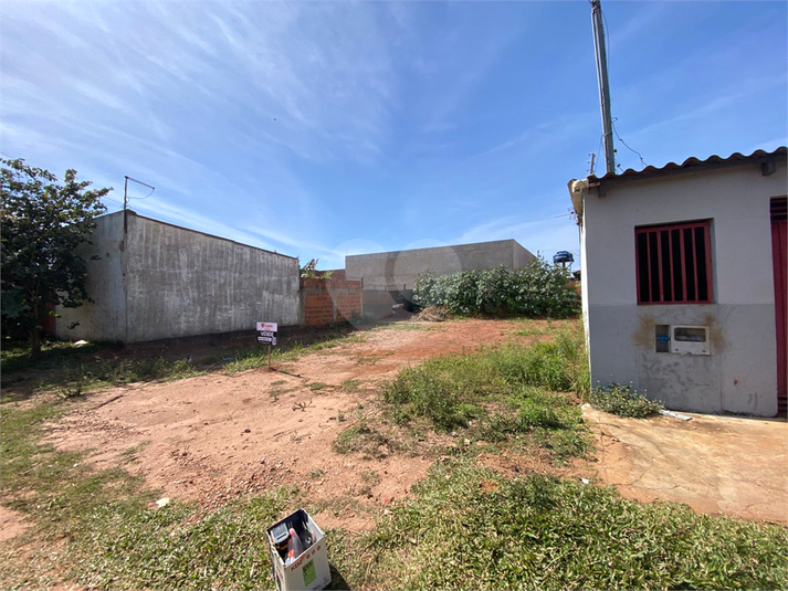 Foto REO1113193