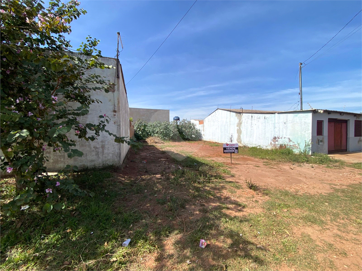 Foto REO1113193