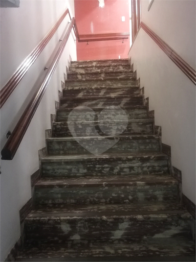 Foto REO1113204