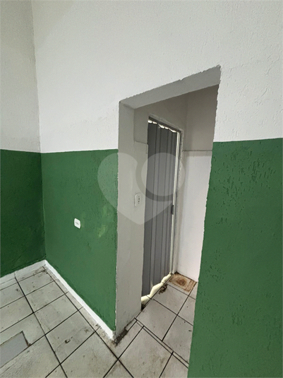 Foto REO1113205