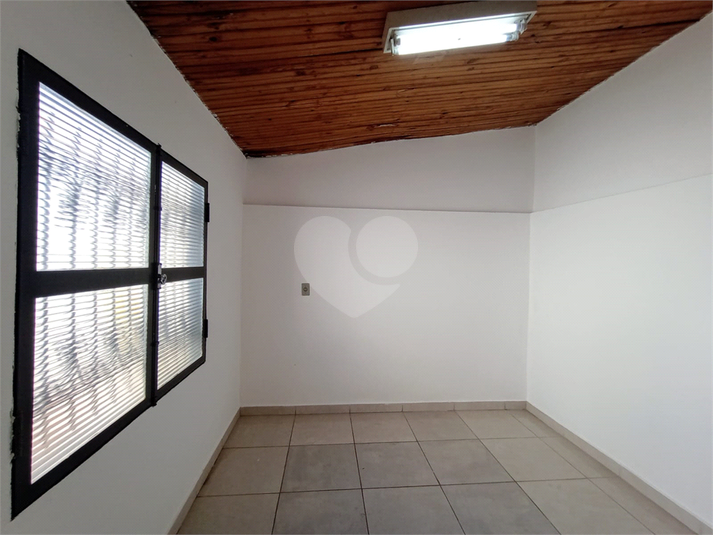 Foto REO1113207