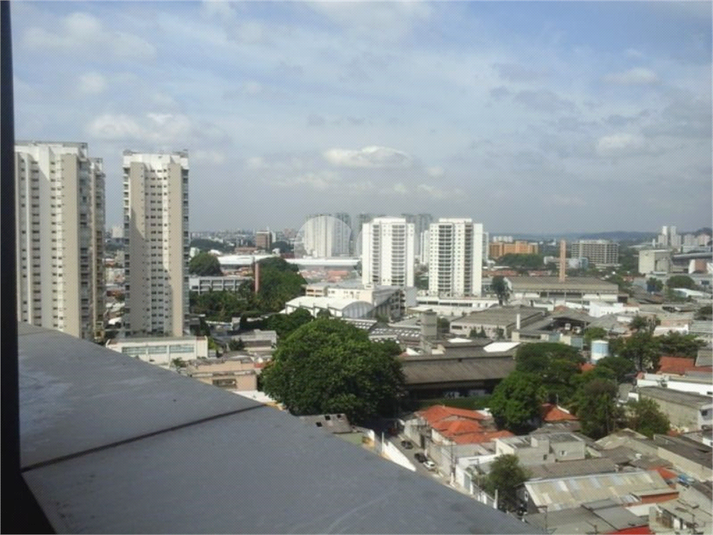 Foto REO1113216