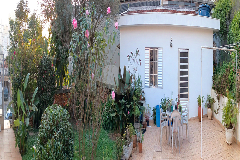 Foto REO1113217