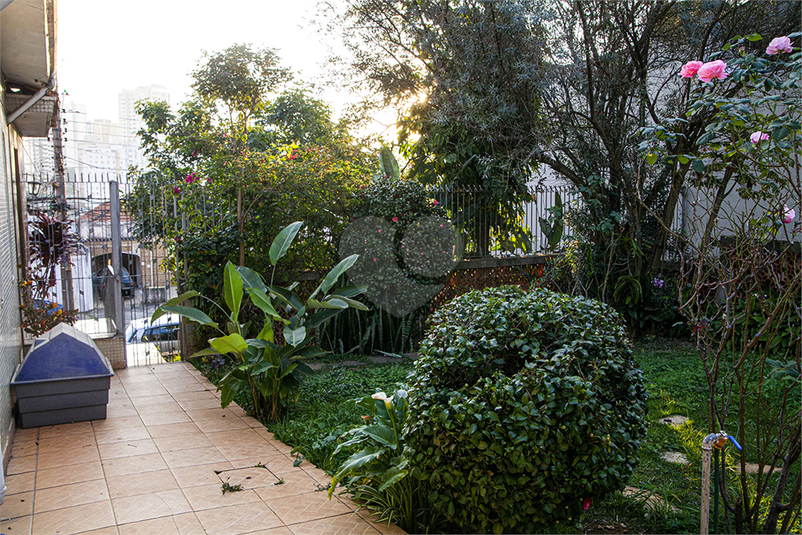 Foto REO1113217