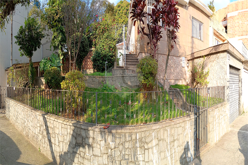 Foto REO1113217