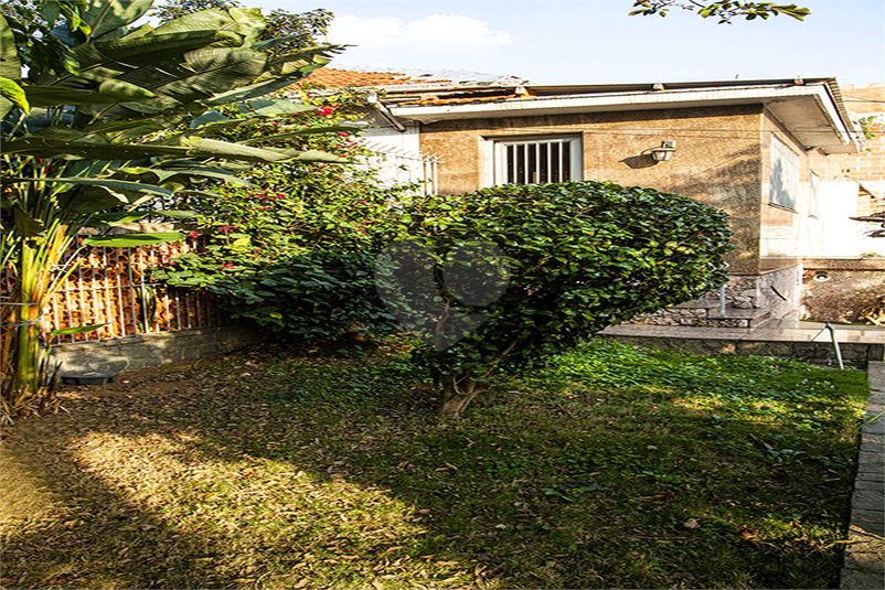 Foto REO1113217