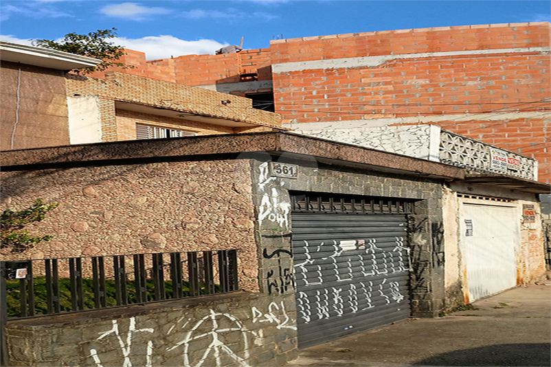 Foto REO1113217