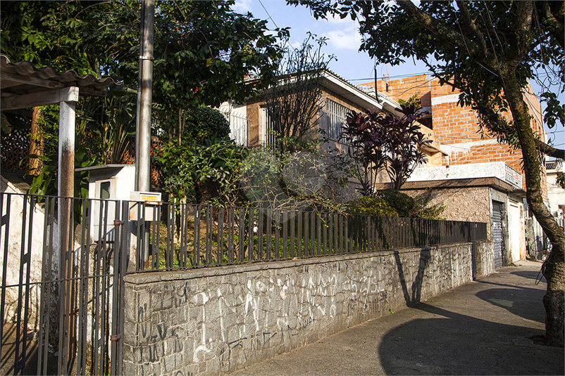 Foto REO1113217