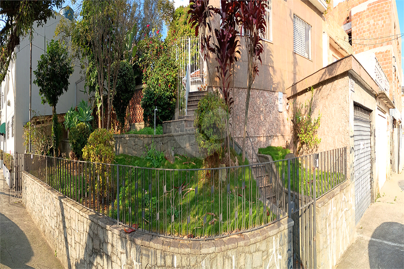 Foto REO1113217