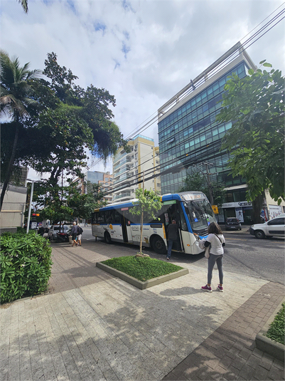 Foto REO1113222