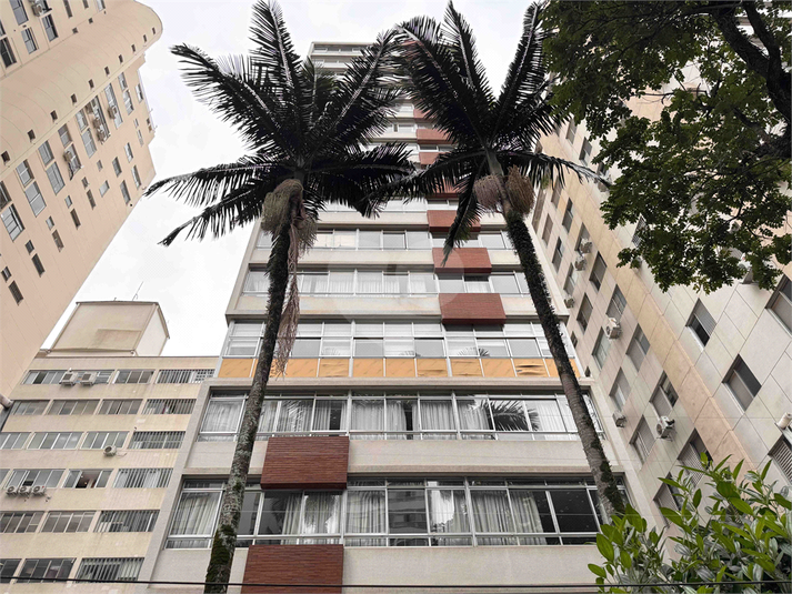 Foto REO1113234