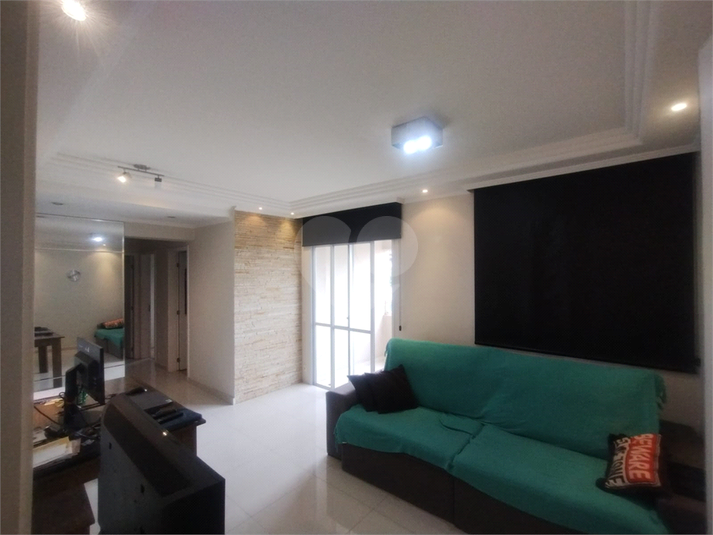 Foto REO1113236