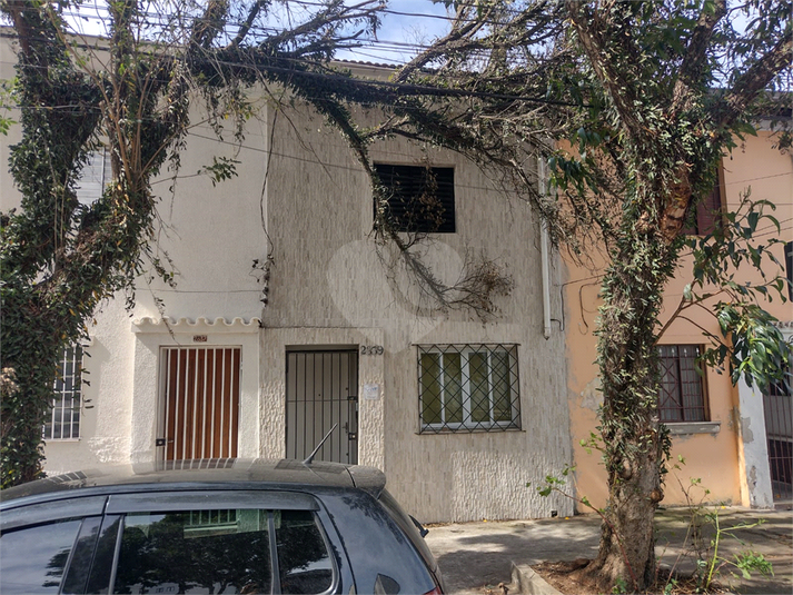 Foto REO1113241