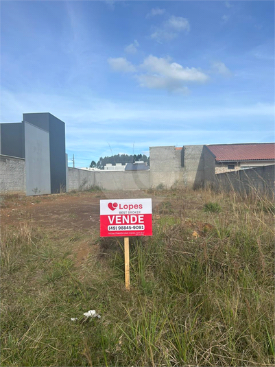 Foto REO1113253