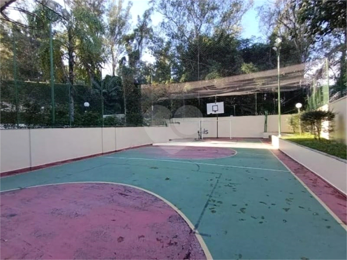 Foto REO1113256