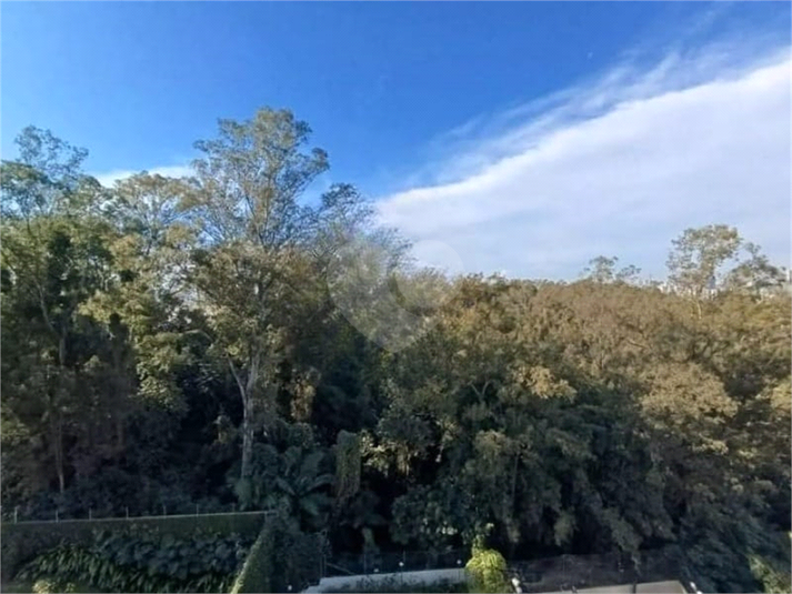 Foto REO1113256