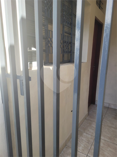 Foto REO1113259