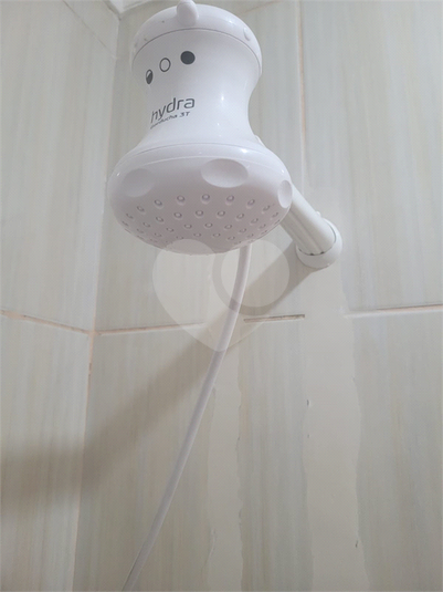 Foto REO1113259