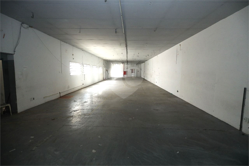 Foto REO1113264